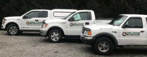 pest control deep creek lake