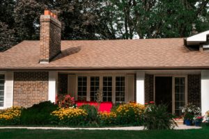 pest control deep creek lake